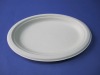 10 Inches Oval Plate