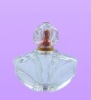 100ml clear glass perfume bottle perfume fragrance bottle fancy perfume bottles roll on bottles FG-523