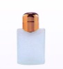 100ml frosted perfume bottle wholesale perfume bottles perfume roll on cosmetic bottle bottles for liquids emputy bottle FG-151