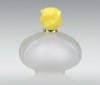 100ml glass perfume bottle with pump spray