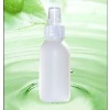 100ml pump Spray bottle