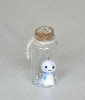 10ml Glass bottle for wishing