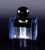 120ml perfume bottle