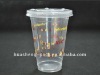 12oz Disposable Juice Cup with lids