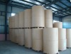 180g pe coated paper for cup