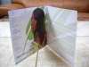 2-fold Brochure printing