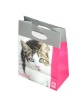 2010 New Fashion paper bag