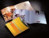 2010 Soft cover printing book