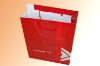 2010 promotional Paper Bag