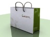 2011 Beautiful hand paper bag