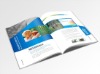 2011 Best High-quality booklets printing