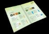 2011 Colour brochure printing