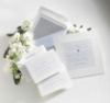 2011 Elegant invitation card