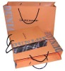 2011 Fashion High Quality Paper Bag