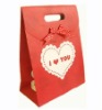 2011 Fashion jewelry paper bag