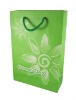 2011 Fashion paper reusable bag