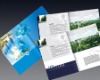 2011 Hot Sale Brochure Printing