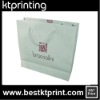 2011 NEW white kraft paper bags