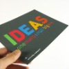 2011 New Promotional Sample Leaflets