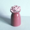 2011 New Style Ceramic Bottle