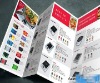 2011 Newer Commercial Flier Printing