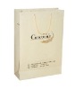 2011 Useful and Beautiful Packing Gift Paper Bag