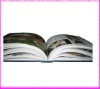 2011 color book printing