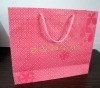 2011 color pp shopping bag