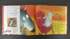 2011 hardcover Kids book printing