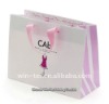 2011 high quality promotion paper bag WT-PPB-057