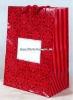 2011 newly glossy art paper gift bag  WT-PPB-024