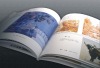 2011 product  catalogue printing