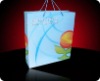 2011 promotional paper bag(PA-0251)