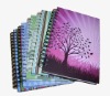 2012 Hardcover Spiral Binding NoteBook Printing