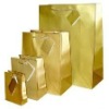 2012 New Luxury Shopping Paper Bag