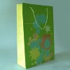 2012 New Shopping Paper bag series