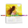 2012 custom calendar printing