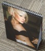 2012 desk calendar printing with good quality