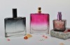 2012 new style elegant perfume atomizer 100ml