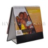 2012 paper desk calendar