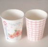 250ml/170ml paper water cups