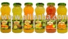 250ml glass bottle gourds for fruit juice with metl lid