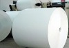 310gsm PE coated paper, paper cup paper