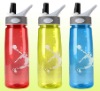 350ml Plastic Sport bottle