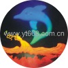 3D Hologram Sticker