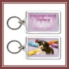 3D Lenticular key chain