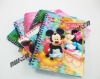 3D Lenticular notebook/diary