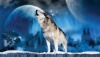 3D Lenticular wolf picture