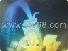 3D adhesive hologram sticker