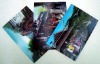 3D lenticular postcards made by lenticular lens sheet